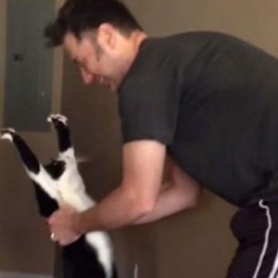 Video: Cea mai tare pisicuta intr-un clip de 11 secunde! Uite cum cerseste iubire!