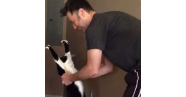 Video: Cea mai tare pisicuta intr-un clip de 11 secunde! Uite cum cerseste iubire!