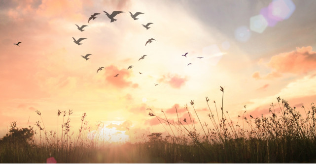 Cele mai frumoase citate despre speranță: “Nu lipsi pe nimeni de speranță - poate fi tot ce are”