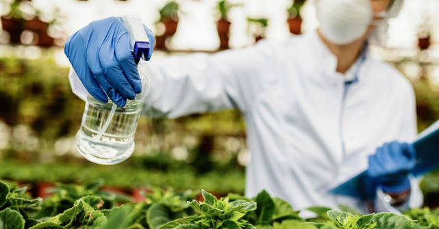 De ce avem nevoie de biostimulatori în agricultura modernă? 