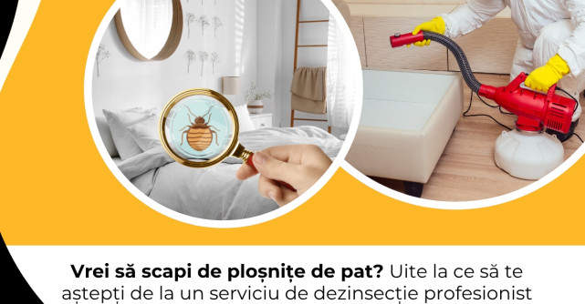 Vrei să scapi de ploșnițe de pat? Uite la ce să te aștepți de la un serviciu de dezinsecție profesionist