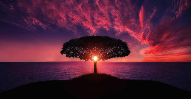 Credea Einstein în Dumnezeu? Care a fost marea întrebare la care fizicianul a căutat răspuns toată viața