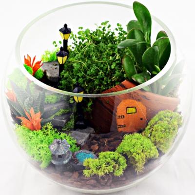 Noutati din IarmaROc: Gradina Zanelor ofera aranjamente din plante si muschi stabilizati