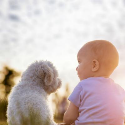 30 de lucruri marunte pe care sa le faci pentru a incheia anul cu dreptul