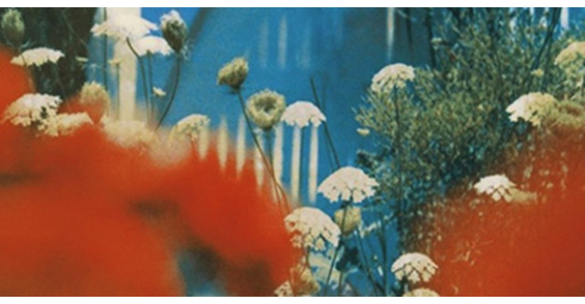 NOUA UNSPE și RUBY sunt protagoniștii videoclipului SPUNE-MI