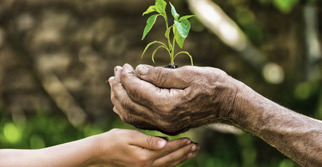 PLANTĂM SEMINȚELE SCHIMBĂRII