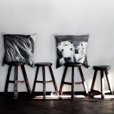 Trend alert: decoratiunile cu... animale!