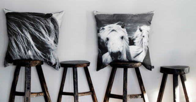 Trend alert: decoratiunile cu... animale!
