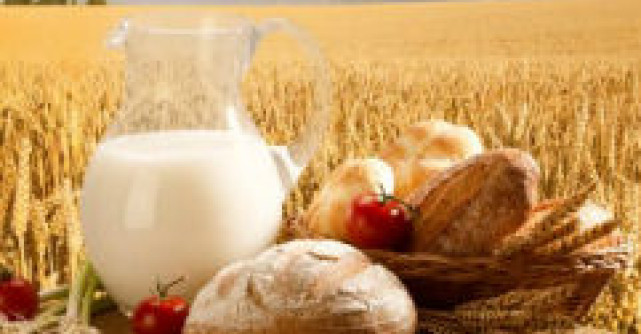 Alergii, intoleranta alimentara si dependenta de alimente