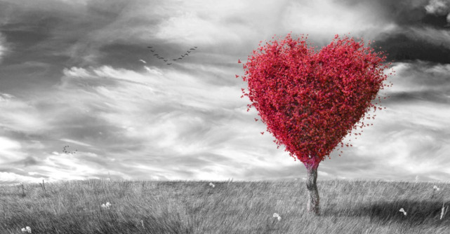 A fi om bun nu inseamna ca trebuie sa fii luat de prost