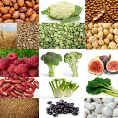 Cateva lucruri despre alimentatia echilibrata