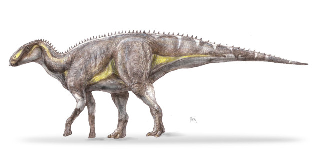 Descoperire spectaculoasă în România! O nouă specie de dinozaur a trăit acum 70 de milioane de ani în Țara Hațegului