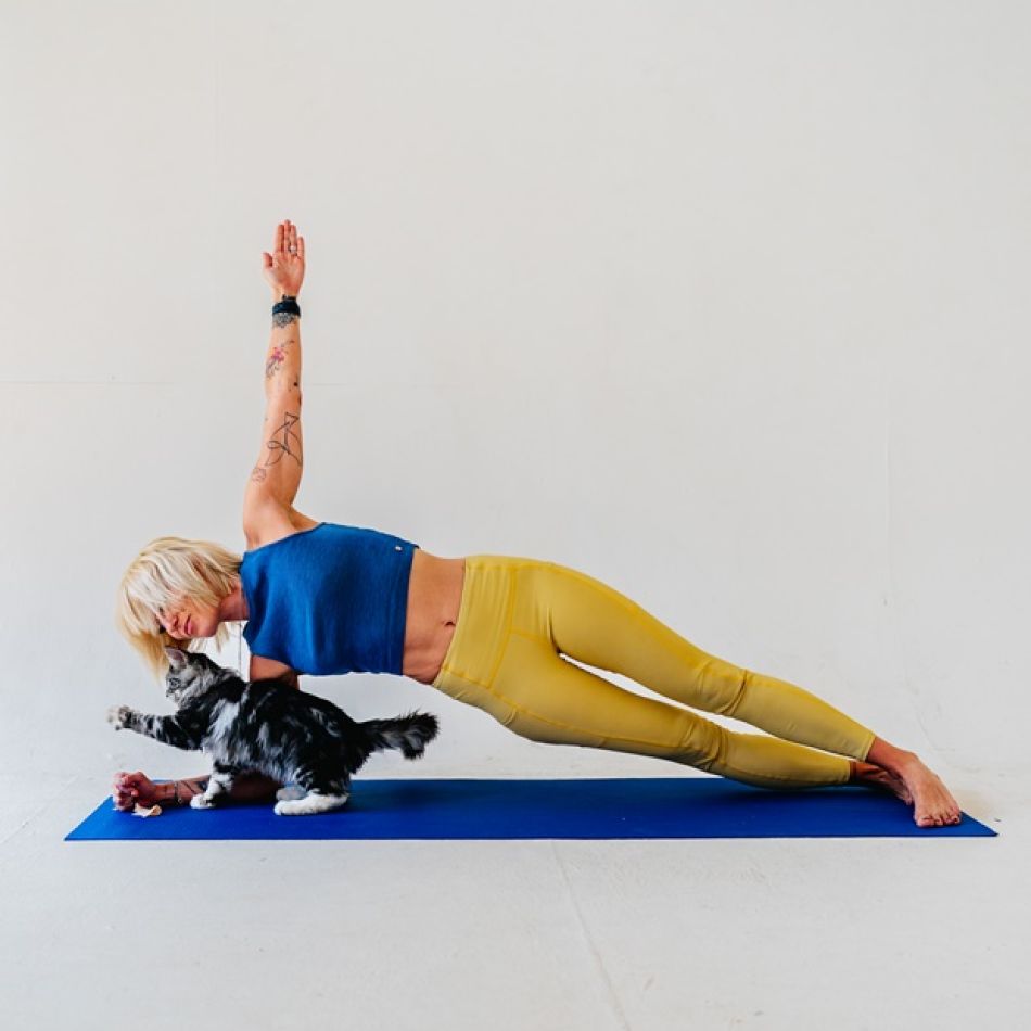 Pet Yoga: Beneficii pentru sănătatea ta și a animalului de companie