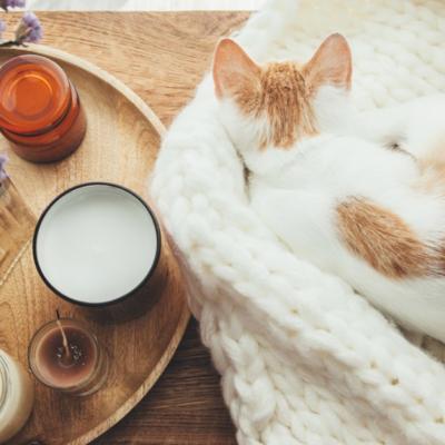 10 Schimbări mărunte (dar de impact) pe care le poți face în casa ta pentru o viață mult mai simplă și mai fericită