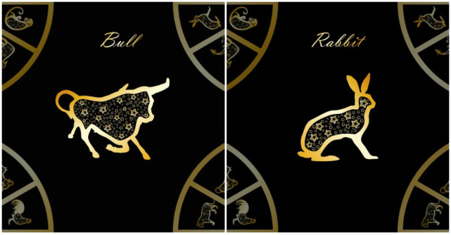 Zodiacul chinezesc 2019: Previziuni pentru Bivol si Iepure in Anul Mistretului