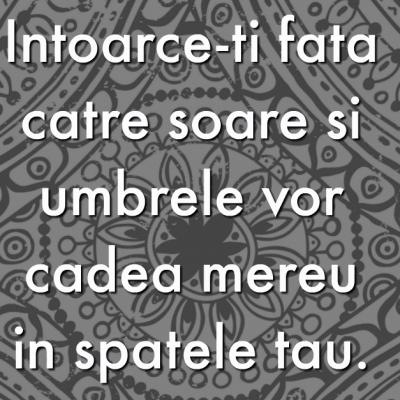 8 Cele mai frumoase proverbe adunate din intreaga lume