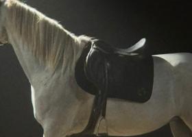 Piesa Trecător: gestul de curaj cu care Adi Istrate deschide o nouă cale în muzica românească