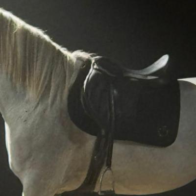  Piesa Trecător: gestul de curaj cu care Adi Istrate deschide o nouă cale în muzica românească