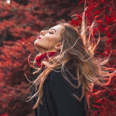 Ce ne invata toamna despre renuntare