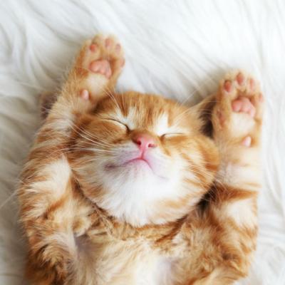 Cum sa dormi mai bine: ghid pentru cresterea calitatii somnului