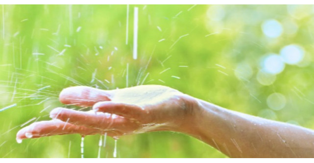 Apa de ploaie, beneficii spectaculoase pentru sanatate