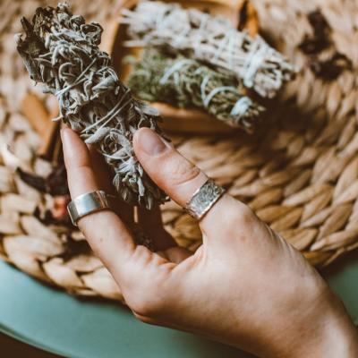Plante magice pentru curatarea spirituala a casei