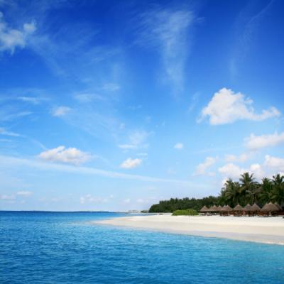 Iubire pe o insula blestemata