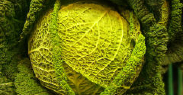 Beneficiile medicinale ale consumului de varza alba