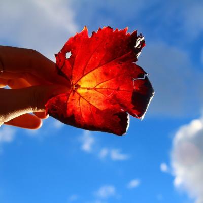 Cele 12 legi ale karmei care iti vor schimba viata