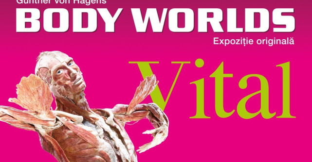 BODY WORLDS ȘI FUNDAȚIA PENTRU SMURD ORGANIZEAZĂ ATELIERE DE PRIM AJUTOR 