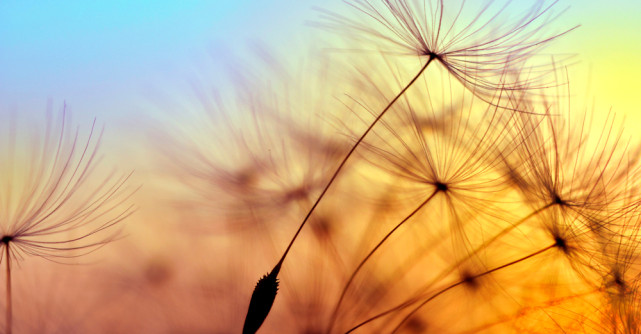 Tehnica 4-7-8: cum controlezi anxietatea