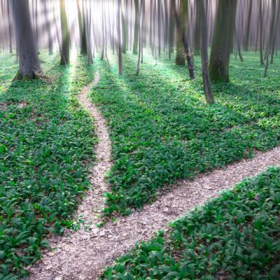 Intuitie sau frica? Invata sa le deosebesti!