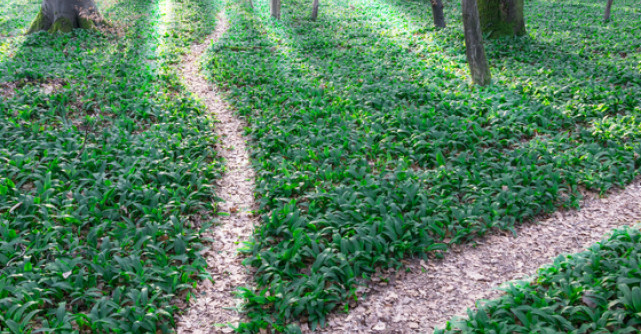 Intuitie sau frica? Invata sa le deosebesti!