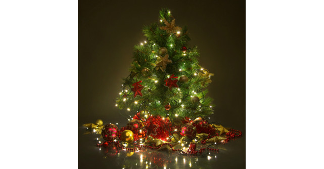 Pierdut spirit de Craciun. Ofer recompensa