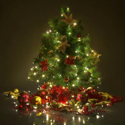 Pierdut spirit de Craciun. Ofer recompensa