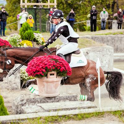 Un număr record de călăreți și cai înscriși la Karpatia Horse Show 2023  