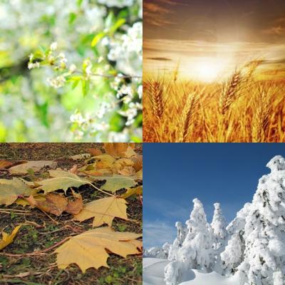 Test: Ce anotimp ai fi? 