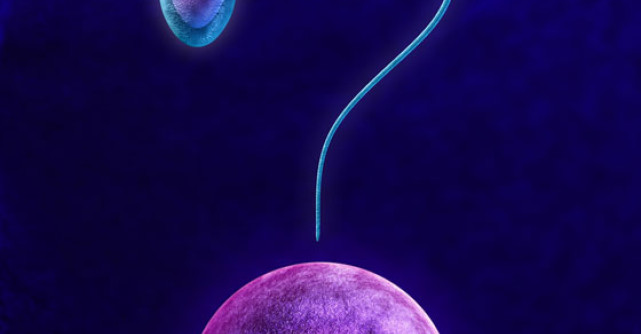 Bolile care iti ataca FERTILITATEA