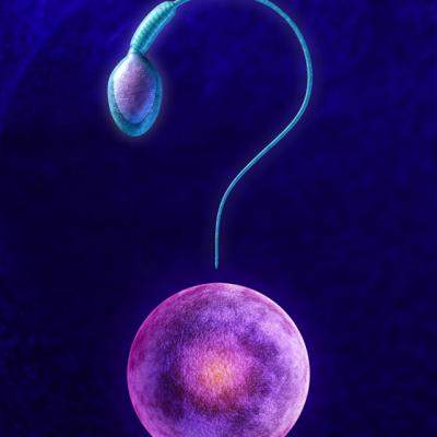 Bolile care iti ataca FERTILITATEA