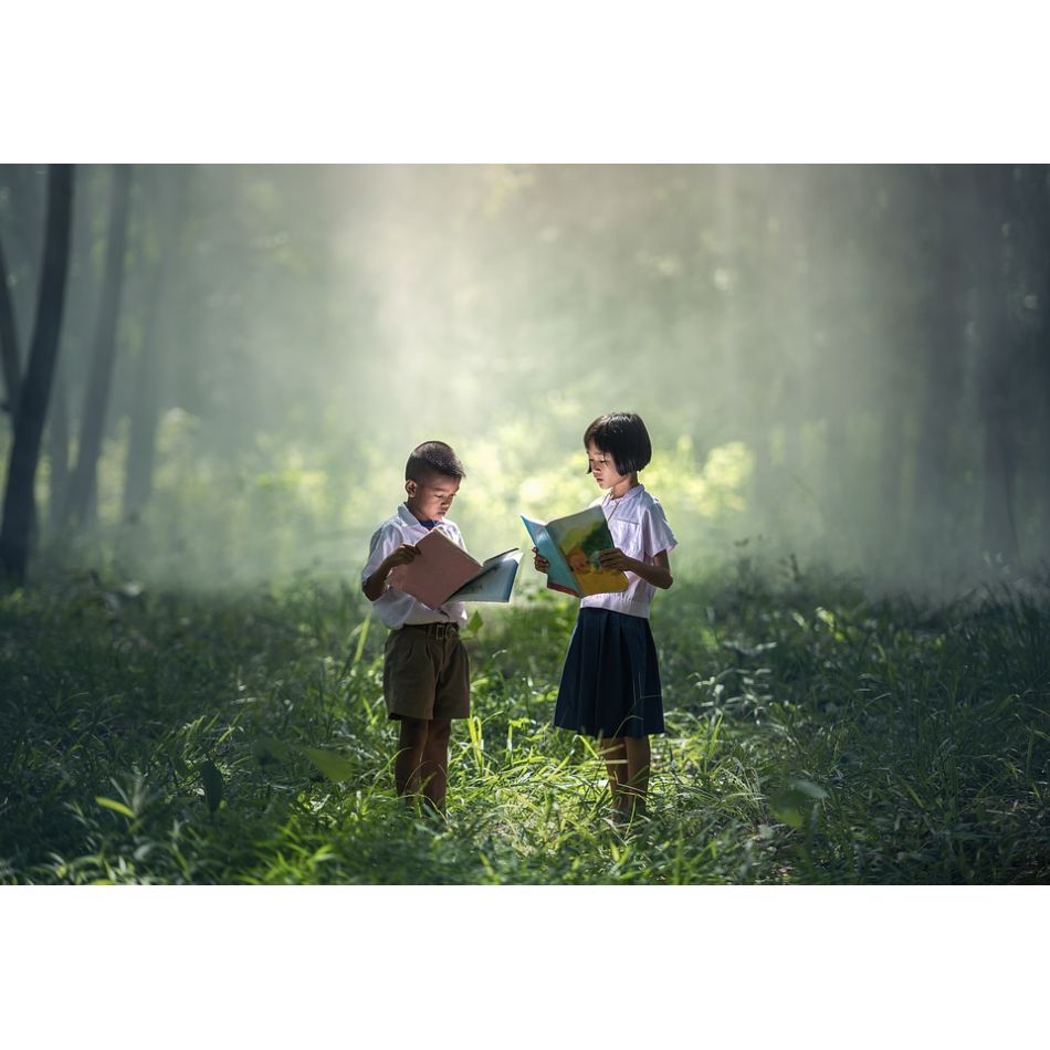 Astăzi este  Ziua Națională a Lecturii! Școlile își vor modifica programul