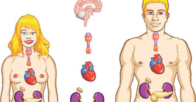 Hipotiroidismul si tiroidita Hashimoto