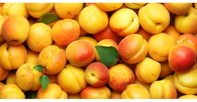 Beneficiile consumului de caise. Cat de bune sunt pentru organism?