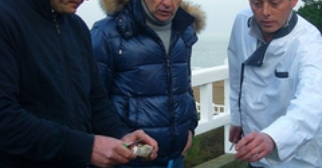 Povestea midiilor din Bretania