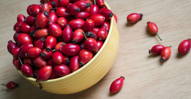 Macesele si NEBANUITELE lor beneficii. Afla ce poti trata cu ajutorul lor