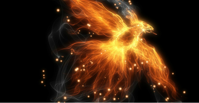 2017 - Anul lui Phoenix, Pasarea de Foc: Trezeste-ti puterea personala!