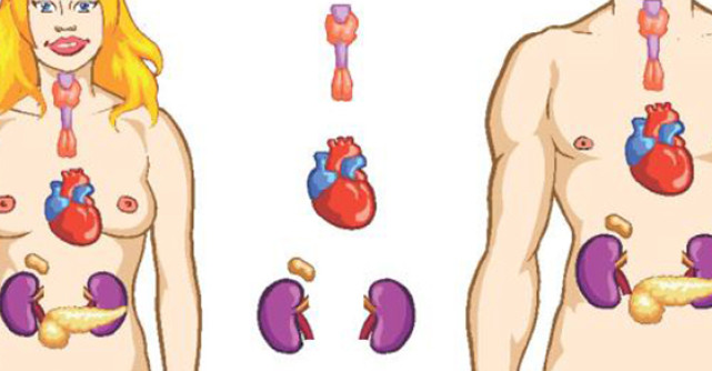 Suplimente alimentare pentru TIROIDA