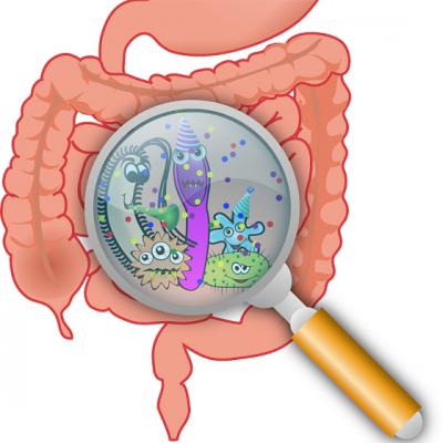 7 Suplimente NATURISTE care CURATA COLONUL