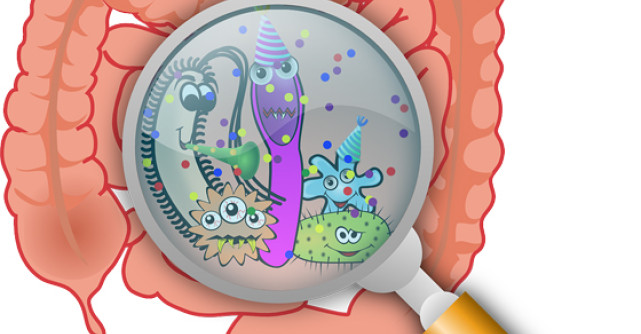 7 Suplimente NATURISTE care CURATA COLONUL