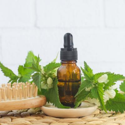 Ser de păr pentru vară cu plante de sezon – până la 40% mai multă hidratare pentru firele uscate