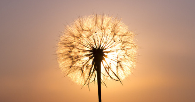 30 de proverbe indiene inteligente, care te vor pune pe ganduri